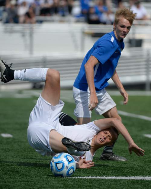 Francisco Kjolseth | The Salt Lake Tribune
Maple Mountain's Ian Stonehocker tumbles while battling Adam Robins of Orem in game action in Draper for the Class 4A boys' soccer championship.