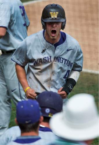 Steve Griffin / The Salt Lake Tribune

Washington's Jack Meggs screams with excitement after he scored the go-ahead run during first game of a series against Utah for the Pac-12 title and an NCAA berth at Smith's Ballpark  in Salt Lake City Friday May 27, 2016. Washington defeated Utah 5-4.