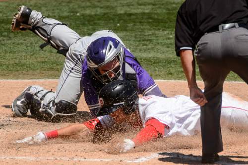 Trent Nelson  |  The Salt Lake Tribune
Utah outfielder Dashawn Keirsey, Jr. (21) is safe at home on a two-run home run in the fourth inning as the University Utah plays Washington, NCAA baseball, in a series for the Pac-12 title at Smith's Ballpark in Salt Lake City, Saturday May 28, 2016.