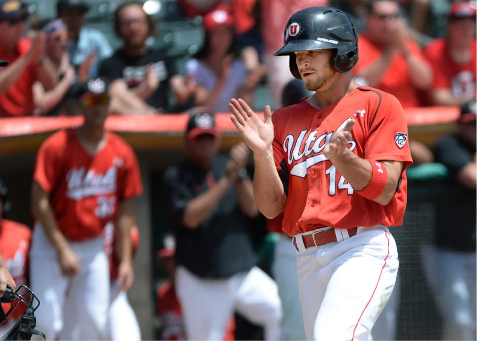 Scott Sommerdorf   |  The Salt Lake Tribune  
Utah's Josh Rose claps as he crosses the plate during a five-run first inning. Utah wins the Pac-12 baseball championship by defeating Washington 21-7, Sunday, May 29, 2016.