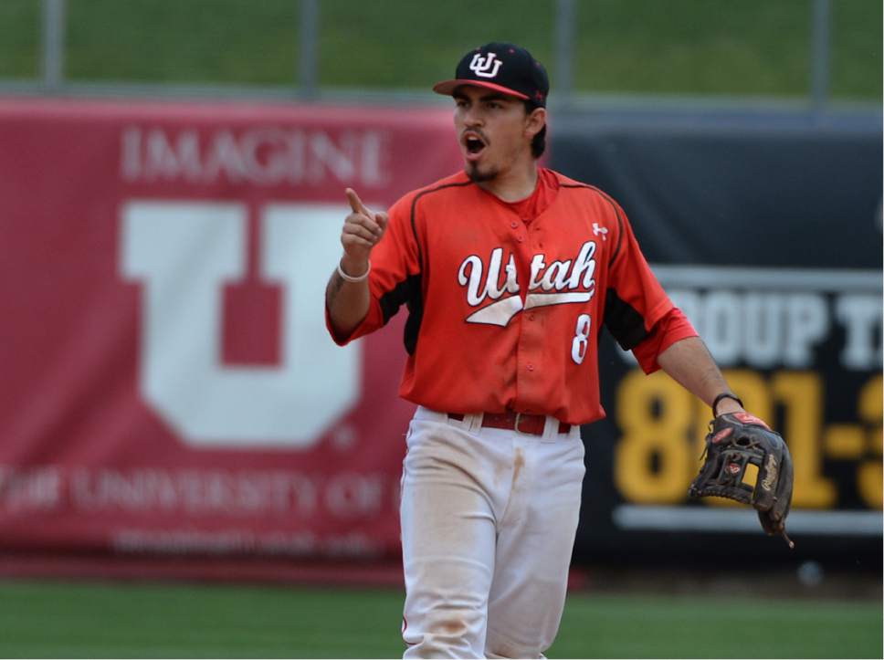 Scott Sommerdorf   |  The Salt Lake Tribune  
Cody Scaggari yells after an out during 6th inning play. Utah wins the Pac-12 baseball championship by defeating Washington 21-7, Sunday, May 29, 2016.