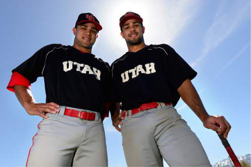 Scott Sommerdorf   |  The Salt Lake Tribune  
Twin brothers Dalton, left, and Dallas Carroll of Taylorsville have been vital in rise of Utah's baseball program to first place in the Pac-12, Thursday, May 12, 2016.
