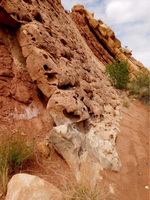 Erin Alberty  |  The Salt Lake Tribune

Heaved rock layers show geological history near the Moonshine Tanks on May 1, 2016, in the San Rafael Swell.