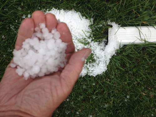 Todd Adams | The Salt Lake Tribune

Hail pounded parts of Centrail Utah Monday, June 13, 2016.