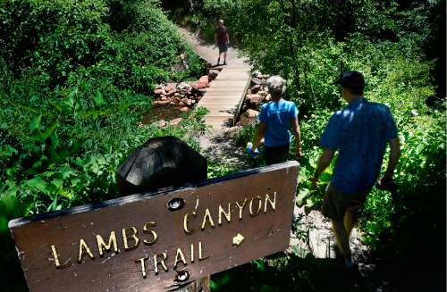 Scott Sommerdorf   |  The Salt Lake Tribune  
In 73° temperatures, hikers head up the start of Lambs Canyon Trail, Sunday, June 19, 2015.