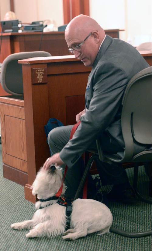 Al Hartmann  |  The Salt Lake Tribune
Timothy Lawson, dubbed a ìfixerî for former Utah Attorney General Mark Shurtleff pets his service dog Prince before hearing in Judge Katie Bernards-Goodman's courtroom in Salt Lake City Monday April 25.  
Lawson is charged with six felonies ó including counts of tax evasion, witness tampering, obstruction of justice and a pattern of unlawful conduct ó stemming from allegations that he attempted to intimidate or threaten individuals with ties to Shurtleff and his successor, John Swallow.