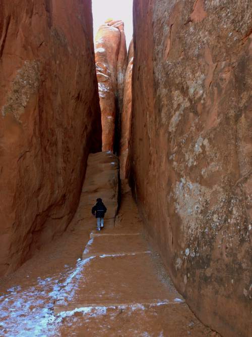 Erin Alberty  |  The Salt Lake Tribune

A determined hiker makes her way into the red rock corridor toward Sand Dune Arch at Arches National Park.
