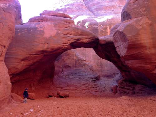 Erin Alberty  |  The Salt Lake Tribune

A young hiker approaches Sand Dune Arch at Arches National Park.