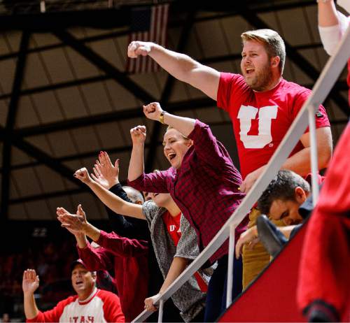 Trent Nelson  |  The Salt Lake Tribune
Utah fans cheer as the University of Utah Utes host the Wichita State Shockers, college basketball at the Huntsman Center in Salt Lake City, Wednesday December 3, 2014.