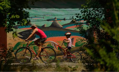 Leah Hogsten  |  The Salt Lake Tribune
 Cyclists ride the downstream currents of the Ogden River along with a mural of trout on the river parkway, Sunday, June 26, 2016.