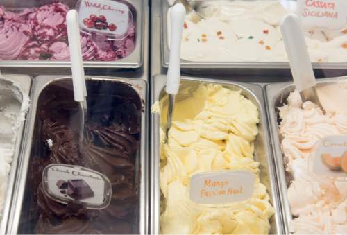 Rick Egan  |  The Salt Lake Tribune
You don't have to go all the way to Italy to score gelato. In Salt Lake, you can visit Sweetaly, where proprietor Francesco Amendolacq makes the magical stuff from scratch. He went to school in Perugia, Italy to learn his craft.