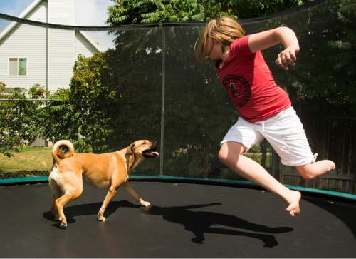 Rick Egan  |  The Salt Lake Tribune

Lydia Petrucka, 10, jumps on the trampoline with her dog Linder, at her home in Springville.  She will be attending the Amputee Coalition Paddy Rossbach Youth Camp in Clarksville, Ohio next week. Despite the loss of her left leg, she spending time with her dogs, riding her knee scooter and jumping on her trampoline. Saturday, July 2, 2016.