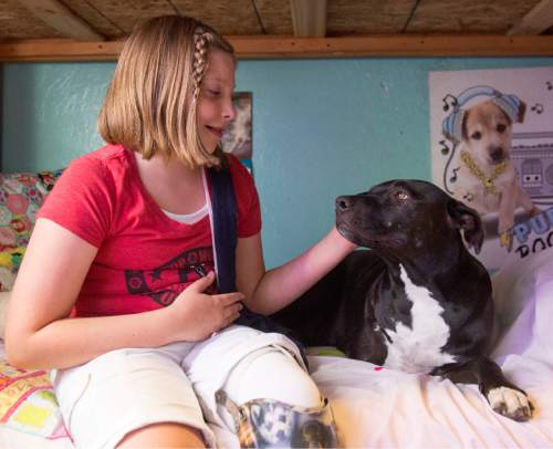 Rick Egan  |  The Salt Lake Tribune

Lydia Petrucka, 10, plays with her 3-legged dog Clover. Lydia will be attending the Amputee Coalition Paddy Rossbach Youth Camp in Clarksville, Ohio next week. Despite the loss of her left leg, she spending time with her dogs and jumping on her trampoline. Saturday, July 2, 2016.