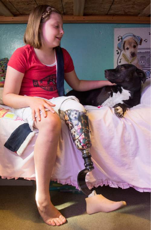 Rick Egan  |  The Salt Lake Tribune

Lydia Petrucka, 10, plays with her 3-legged dog, Clover in her room. She will be attending the Amputee Coalition Paddy Rossbach Youth Camp in Clarksville, Ohio next week. Despite the loss of her left leg, she spending time with her dogs and jumping on her trampoline. Saturday, July 2, 2016.