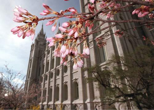 Al Hartmann  |  Tribune File Photo

Flowering trees are opening their blossoms just in time for Spring Conference on Temple Square. March 31, 1998.
