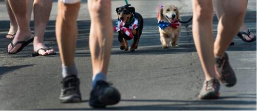 Steve Griffin / The Salt Lake Tribune

Winston and Wallace walk with their owners Sophie and Dustin Daley in the second annual Sugar House Pet Parade sponsored by the Sugar House Chamber of Commerce in Salt Lake City Monday July 4, 2016. Dogs and their families walked 1.3 miles from Sugarhouse Park to 2100 south and Highland Drive kicking off the Fourth of July holiday. A portion of the proceeds went to Best Friends Animal Society.