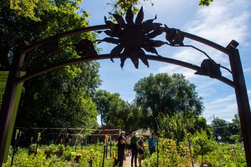Chris Detrick  |  The Salt Lake Tribune
Wasatch Community Gardens has acquired a special property easement for its Grateful Tomato Garden, on 800 South and 600 East, which will permanently protect the land for agricultural use.