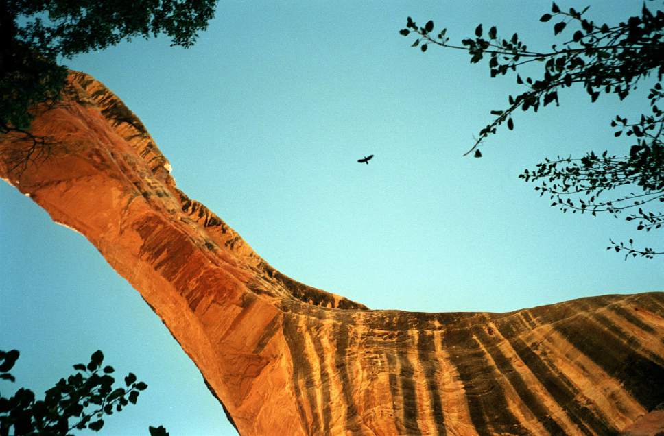 Al Hartmann  |  Tribune file photo

A crow flies over Sippapu Bridge in Natural Bridges national Monument. This is among the areas that would be affected by draft legislation that Rep. Rob Bishop intends to unveil Wednesday.