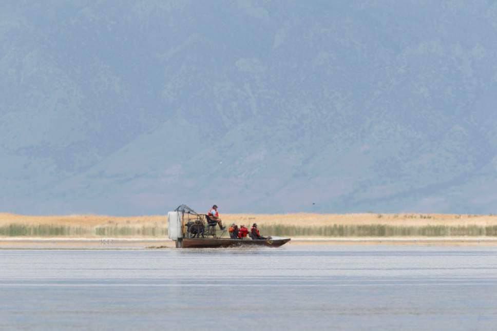 Trent Nelson  |  The Salt Lake Tribune

Utah's Water Quality Board took a tour of the Bear River Migratory Bird Refuge Wednesday, May 23, 2012 to look at the impact of nutrients flowing in from the river.