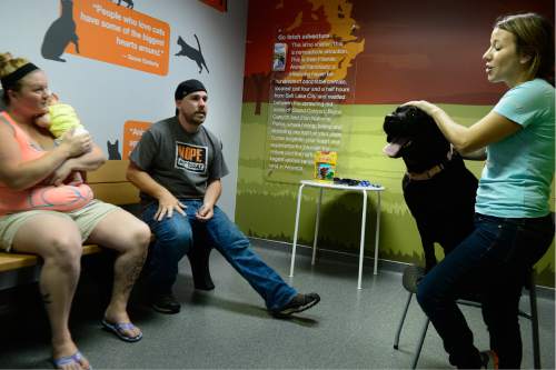 Scott Sommerdorf   |  The Salt Lake Tribune  
Army veteran Cory Wellman, his wife, Tasha Hatton, and daughter Bayleigh, meet with Annie, a 3-year-old Rottweiler, at Best Friends in Sugar House on Saturday, July 9, 2016.
