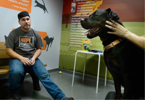 Scott Sommerdorf   |  The Salt Lake Tribune  
Army veteran Cory Wellman is introduced to Annie, a 3-year-old Rottweiler, at Best Friends in Sugar House on Saturday, July 9, 2016.