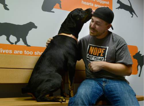 Scott Sommerdorf   |  The Salt Lake Tribune  
Army veteran Cory Wellman meets with Annie, a 3-year-old Rottweiler, at Best Friends in Sugar House on Saturday.