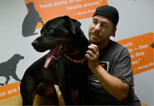 Scott Sommerdorf   |  The Salt Lake Tribune  
Army veteran Cory Wellman meets with Annie, a 3-year-old Rottweiler, at Best Friends in Sugar House on Saturday, July 9, 2016.