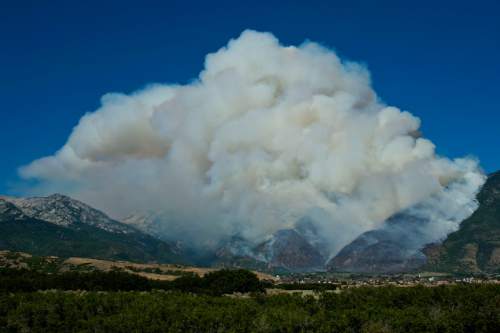 Chris Detrick  |  The Salt Lake Tribune

The Quail fire burns above Alpine Tuesday July 3, 2012. A wildfire that started about 2 p.m. Tuesday in Lambert Park in Alpine has burned at least one structure -- a barn -- and 80 homes have been evacuated, according to the Lone Peak Police Department. Utah County Sheriff's Sgt. Spencer Cannon said the fire was human-caused -- somehow sparked by a man was working on a trackhoe near the Alpine rodeo grounds.