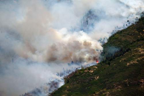 Chris Detrick  |  The Salt Lake Tribune

The Quail fire burns above Alpine Tuesday July 3, 2012. A wildfire that started about 2 p.m. Tuesday in Lambert Park in Alpine has burned at least one structure -- a barn -- and 80 homes have been evacuated, according to the Lone Peak Police Department. Utah County Sheriff's Sgt. Spencer Cannon said the fire was human-caused -- somehow sparked by a man was working on a trackhoe near the Alpine rodeo grounds.