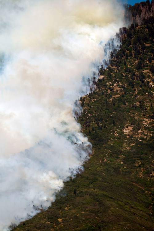 Chris Detrick  |  The Salt Lake Tribune

The Quail fire burns above Alpine Tuesday July 3, 2012. A wildfire that started about 2 p.m. Tuesday in Lambert Park in Alpine has burned at least one structure -- a barn -- and 80 homes have been evacuated, according to the Lone Peak Police Department. Utah County Sheriff's Sgt. Spencer Cannon said the fire was human-caused -- somehow sparked by a man was working on a trackhoe near the Alpine rodeo grounds.