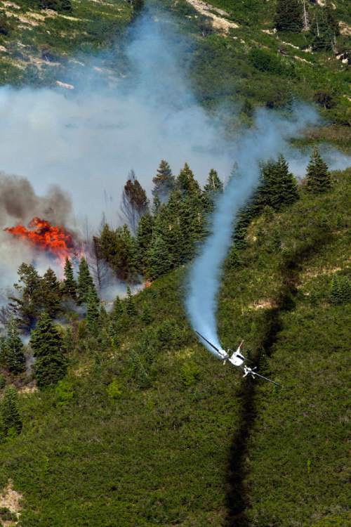 Chris Detrick  |  The Salt Lake Tribune

Crews work to put out the Quail fire above Alpine Tuesday July 3, 2012. A wildfire that started about 2 p.m. Tuesday in Lambert Park in Alpine has burned at least one structure -- a barn -- and 80 homes have been evacuated, according to the Lone Peak Police Department. Utah County Sheriff's Sgt. Spencer Cannon said the fire was human-caused -- somehow sparked by a man was working on a trackhoe near the Alpine rodeo grounds.