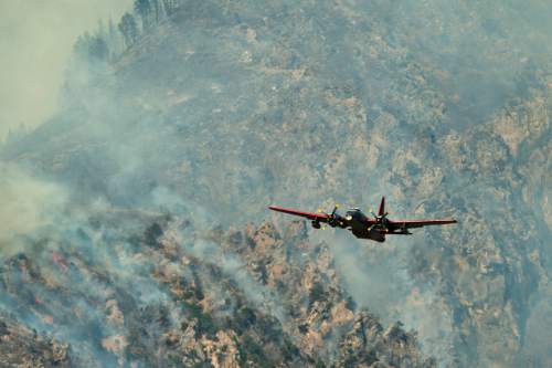 Chris Detrick  |  The Salt Lake Tribune

Crews work to put out the Quail fire above Alpine Tuesday July 3, 2012. A wildfire that started about 2 p.m. Tuesday in Lambert Park in Alpine has burned at least one structure -- a barn -- and 80 homes have been evacuated, according to the Lone Peak Police Department. Utah County Sheriff's Sgt. Spencer Cannon said the fire was human-caused -- somehow sparked by a man was working on a trackhoe near the Alpine rodeo grounds.