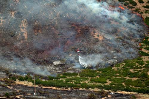 Chris Detrick  |  The Salt Lake Tribune

The Quail fire burns above Alpine Tuesday July 3, 2012. A wildfire that started about 2 p.m. Tuesday in Lambert Park in Alpine has burned at least one structure -- a barn -- and 80 homes have been evacuated, according to the Lone Peak Police Department. Utah County Sheriff's Sgt. Spencer Cannon said the fire was human-caused -- somehow sparked by a man was working on a trackhoe near the Alpine rodeo grounds.