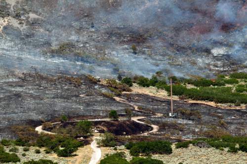 Chris Detrick  |  The Salt Lake Tribune

The Quail fire burns above Alpine Tuesday July 3, 2012. A wildfire that started about 2 p.m. Tuesday in Lambert Park in Alpine has burned at least one structure -- a barn -- and 80 homes have been evacuated, according to the Lone Peak Police Department. Utah County Sheriff's Sgt. Spencer Cannon said the fire was human-caused -- somehow sparked by a man was working on a trackhoe near the Alpine rodeo grounds.