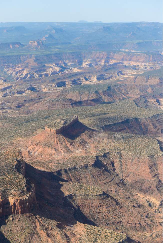 Francisco Kjolseth | The Salt Lake Tribune
The Bears Ears, seen on the horizon, and its surrounding areas in southeastern Utah, are subject to a possible National Monument designation by President Obama   under the Antiquities Act for protection. EcoFlight recently flew journalists, tribal people and activists over the northern portion of the proposed 1.9 million acre site in an effort to push for permanent protection from impacts caused by resource extraction and high-impact public use.