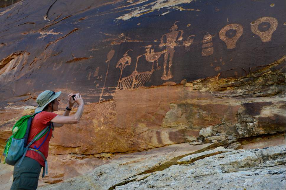 Scott Sommerdorf   |  The Salt Lake Tribune  
U.S. Interior Secretary Sally Jewell takes a photo of  ancient petroglyphs near Comb Ridge, outside Bluff, Saturday, July 16, 2016.