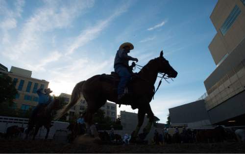 Steve Griffin  |  The Salt Lake Tribune


Cowboys warm-up outside the EnergySolutions Arena during the Days of 47 Rodeo in Salt Lake City, Tuesday, July 21, 2015.