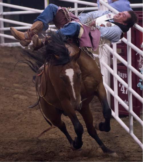 Steve Griffin / The Salt Lake Tribune

George Gillespie, of Hamilton, MT, gets sideways as his head slides along the fence rail as he rides Par T On  during his bareback ride during the opening night of the Days of '47 Rodeo at Vivint Smart Home Arena in Salt Lake City Tuesday July 19, 2016.