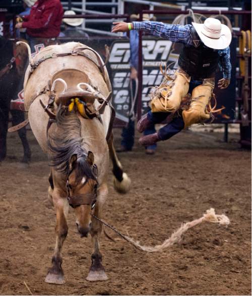 Days of '47 Boore's season of success continues at Salt Lake rodeo