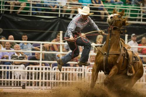 Rick Egan  |  The Salt Lake Tribune

Jesse Loveless, Payson, competes in the Tie Down Roping competition, at the Days of 47 Rodeo, at Vivant Smart Home Arena, Wednesday, July 20, 2016.