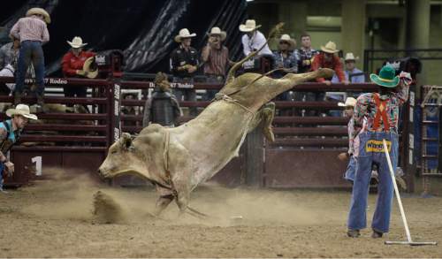 Francisco Kjolseth | The Salt Lake Tribune
In a display of power and agility a bull bucks its way around the arena long after getting rid of its rider on day three to the Days of '47 Rodeo, at Vivint Arena, Thursday, July 21, 2016.