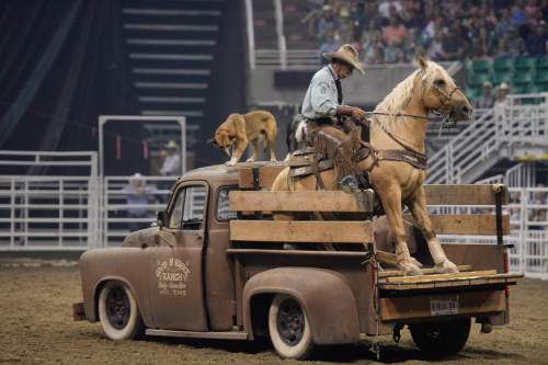 Francisco Kjolseth | The Salt Lake Tribune
Bobby Kerr of Hico, TX, loads his horse Trigger and dogs Bert and Ernie on to his truck on day three to the Days of '47 Rodeo, at Vivint Arena, Thursday, July 21, 2016.