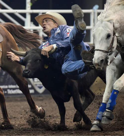 Rick Egan  |  The Salt Lake Tribune

Todd Suhn, scores a 4.03 in the Steer Wrestling competition, in the Days of 47 Rodeo, at Vivint Smart Home Arena, Saturday, July 23, 2016.