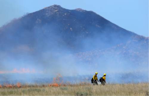 Scott Sommerdorf   |  The Salt Lake Tribune  
 Firefighters work to set a back fire as favorable winds allow for the strategy on Antelope Island, Saturday, July 23, 2016.
