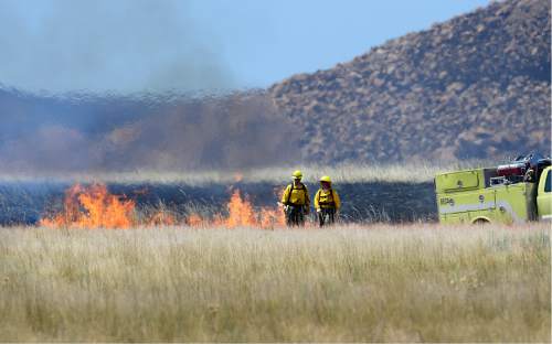 Scott Sommerdorf   |  The Salt Lake Tribune  
Firefighters work to set a back fire as favorable winds allow for the strategy on Antelope Island, Saturday, July 23, 2016.