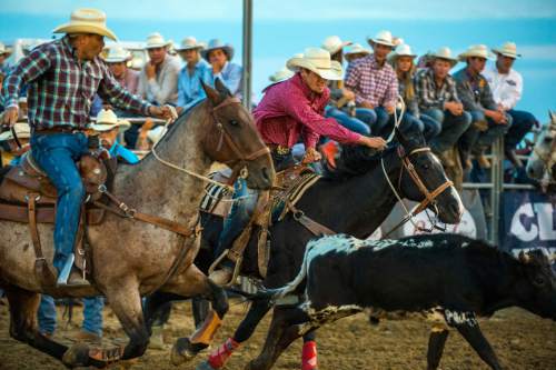 Chris Detrick  |  The Salt Lake Tribune
Ty Allred, of Tooele, Utah, competes in steer wrestling during the National High School Finals Rodeo evening performance at Morningside Park Monday July 18, 2016.