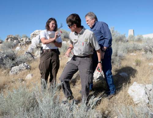 Al Hartmann  |  The Salt Lake Tribune 
Antelope Island Sate Park ranger-naturalist, Charity Owens, left, Wendy Wilson, Assistant Park Manager, and Tribune's Robert Kirby go on a spider hunt looking for Western Spotted Orb Weaver spiders just outside the vistors center. They actually found them everywhere in the vegetation and rocks. The fourth-annual SpiderFest at Antelope Island will be a chance to learn,and get up close and personal with some arachnids.