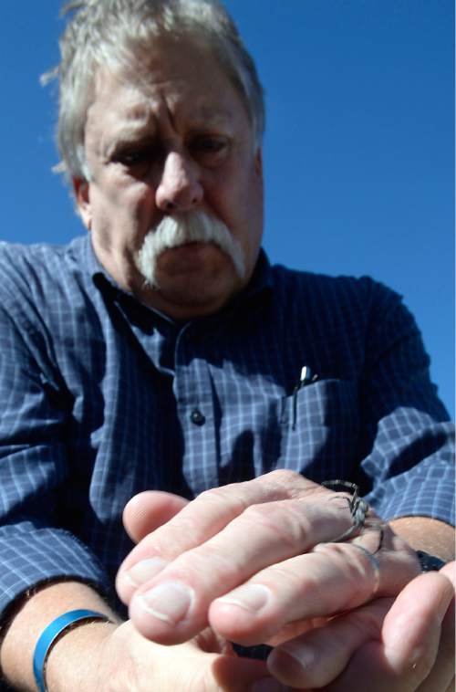Al Hartmann  |  The Salt Lake Tribune 
Robert Kirby, tries holding a just caught  Western Spotted Orb Weaver spider in his hands but they are incredibly fast and don't hang around long. It's by his ring finger at lower right.  The fourth-annual SpiderFest at Antelope Island will be a chance to learn,and get up close and personal with some arachnids.