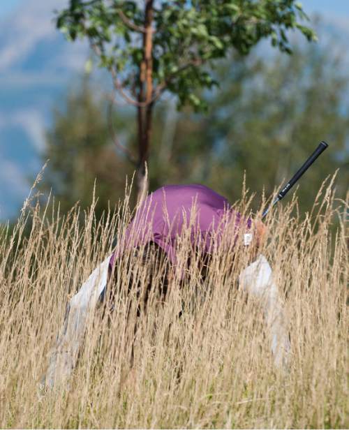 Michael Mangum  |  Special to the Tribune

Ollie Schniederjans assesses his lie in the high rough during the Web.com Tour's Utah Championship tournament at Thanksgiving Point  in Lehi, Utah on Sunday, July 24th, 2016. Schniederjans finished the tournament tied for sixth with a final score of -9.