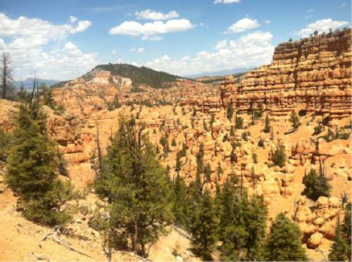 Nate Carlisle  |  The Salt Lake Tribune

The Golden Wall Trail in southern Utah's Red Canyon offers hoodoos and vistas.